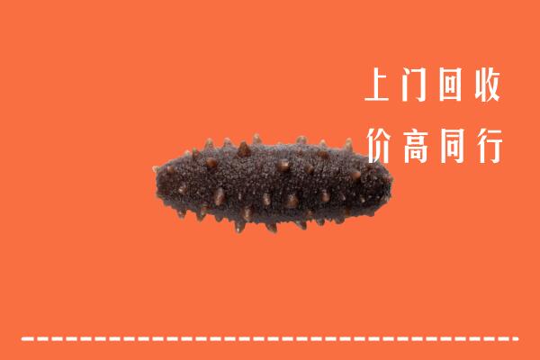 高价求购：石家庄新乐市回收海参
