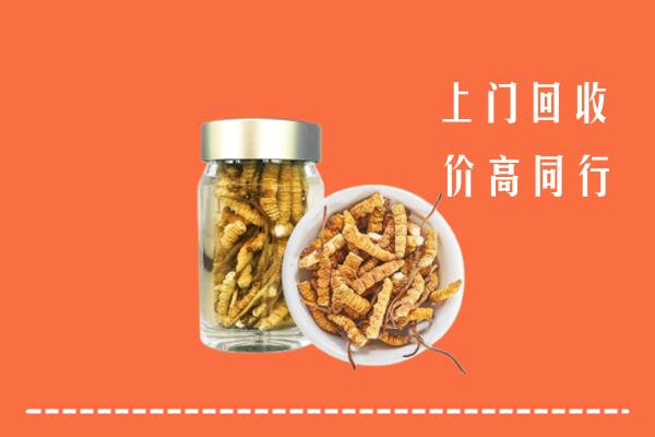 石家庄新乐市回收冬虫夏草